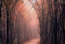 我在现场·照片背后的故事丨全国残特奥会单板滑雪赛:镜头下的不屈与希望.