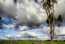 [NBA]西蒙斯22分 开拓者主场险胜猛龙.