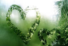 pg游戏官网:利物浦评分:库鸟满分夺最佳首发仅2人不及格.