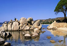 杰伦-格林:我们本来就是斗士 除非给个理由 否则我们会更有斗志.